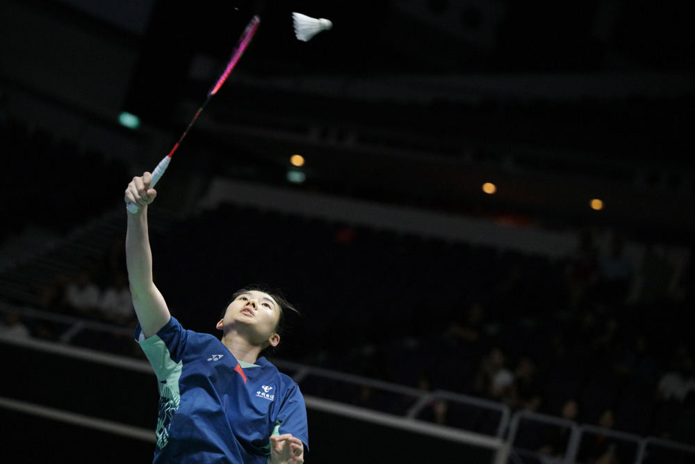 展现了极强 展现了极强